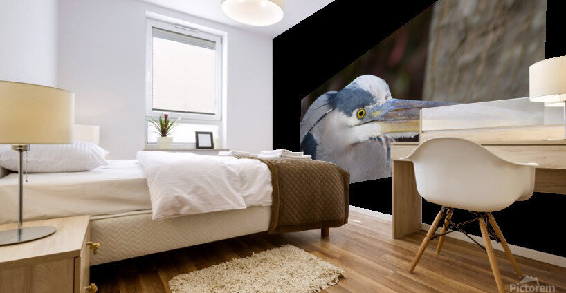 Beady Eyed Heron Mural print