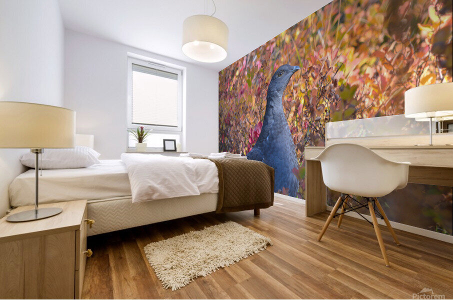 Autumn Grouse Mural print