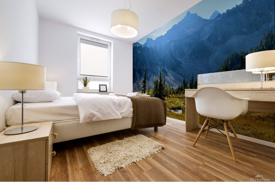 Sun Filled Mountain Meadow Mural print