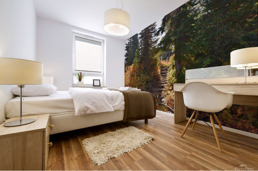 Sunlit Mountain Path Mural print