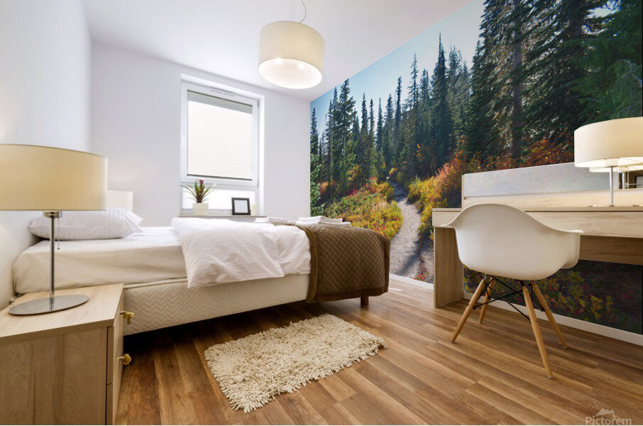 Pathway in the Forest Mural print
