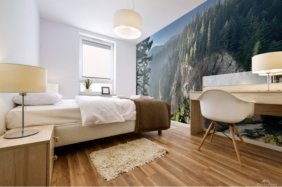 Over the Waterfall Mural print