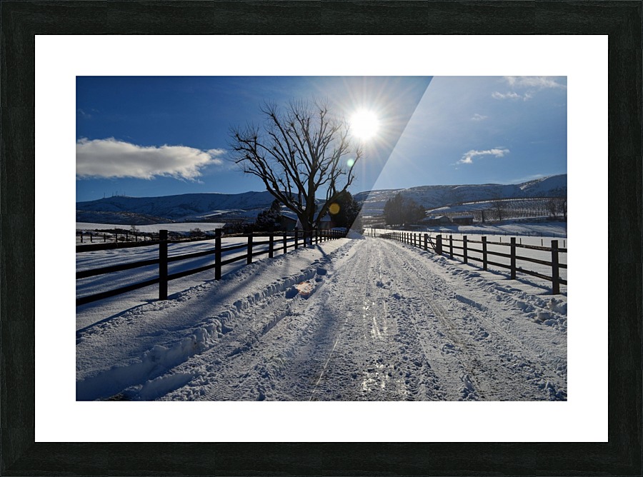 Frozen Homestead Picture Frame print