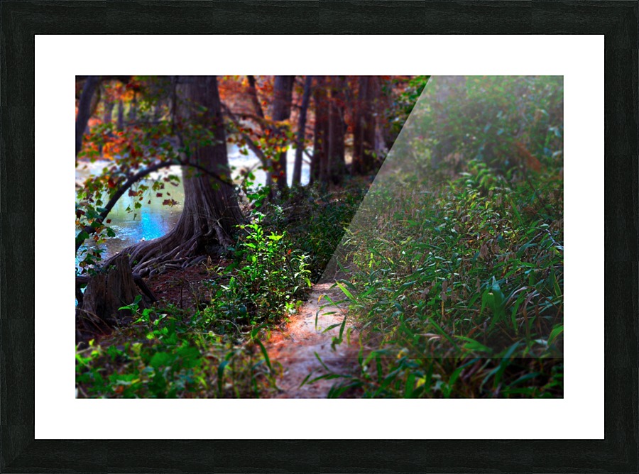 Light Unto My Path Picture Frame print