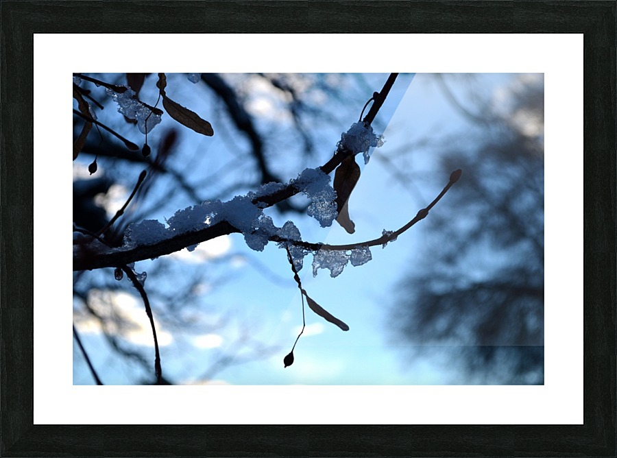 Frozen in Time Picture Frame print