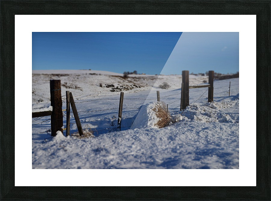 Frozen Fences Picture Frame print