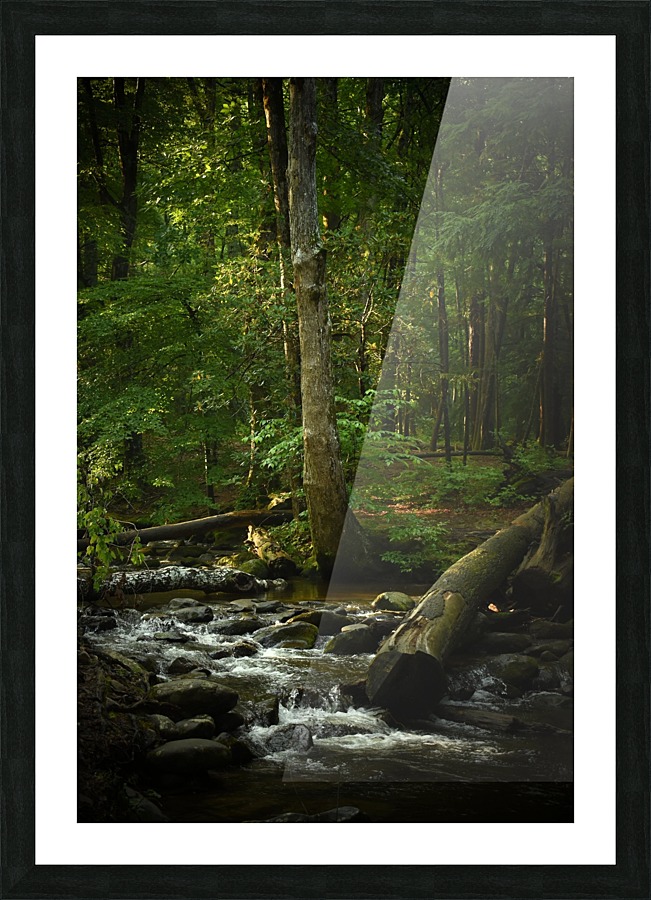 Deep Roots Picture Frame print