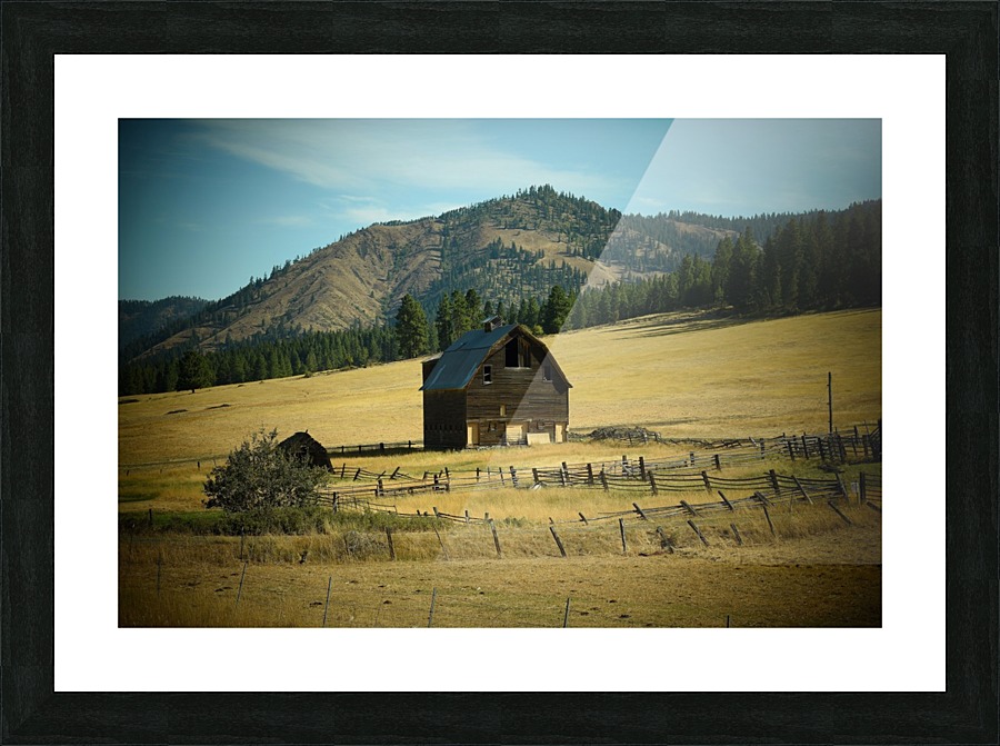 Home on the Range Picture Frame print