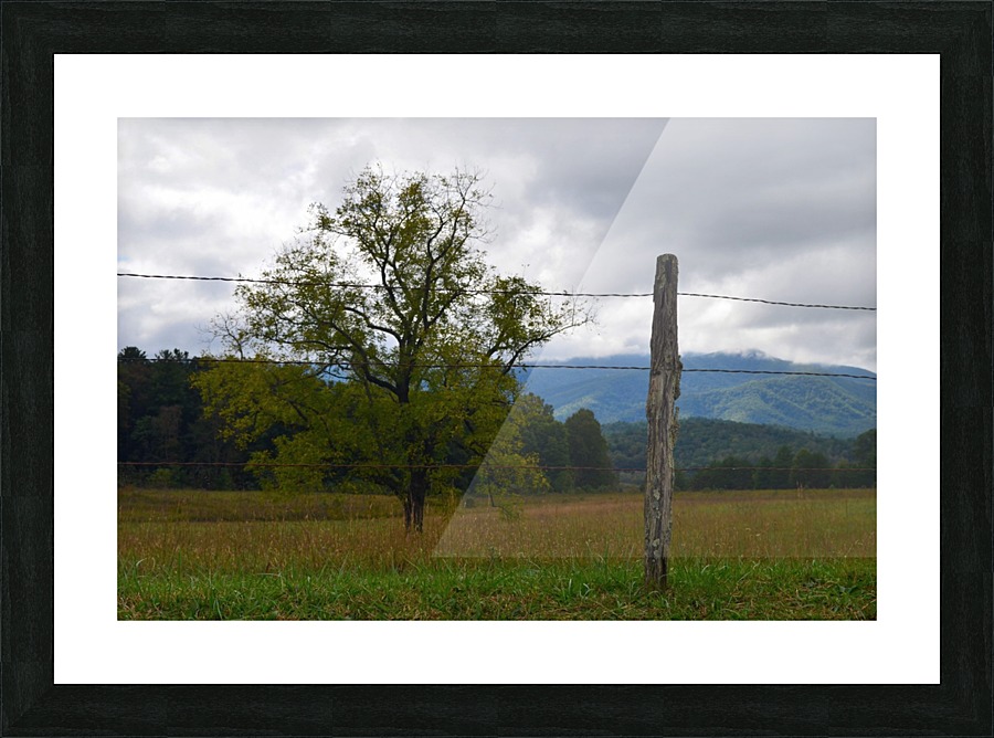 Open Range Picture Frame print