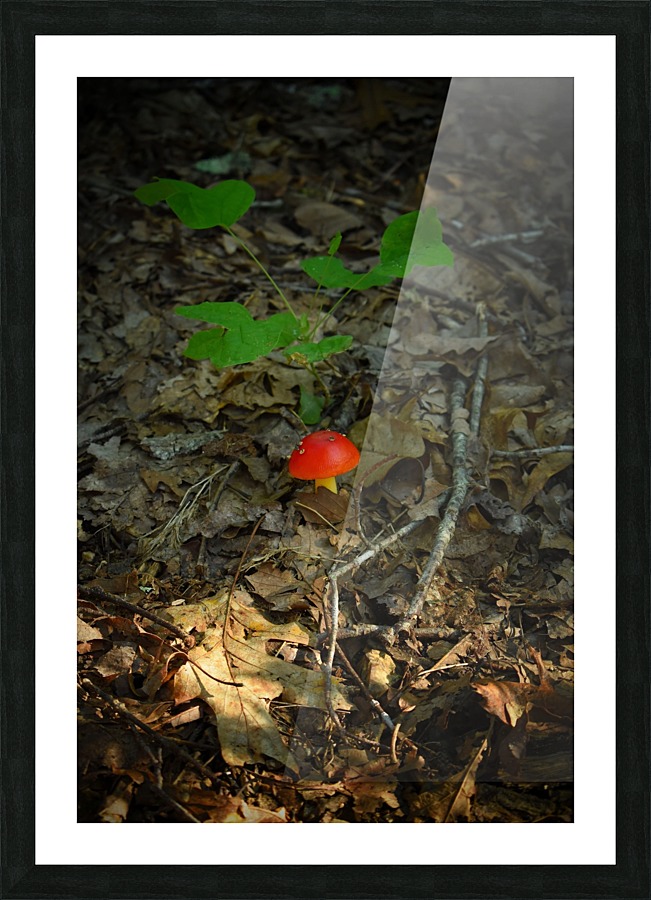 Marios Mushroom Picture Frame print