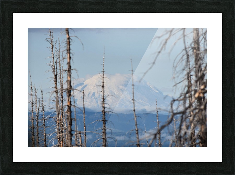 Mountain through the Forest Picture Frame print