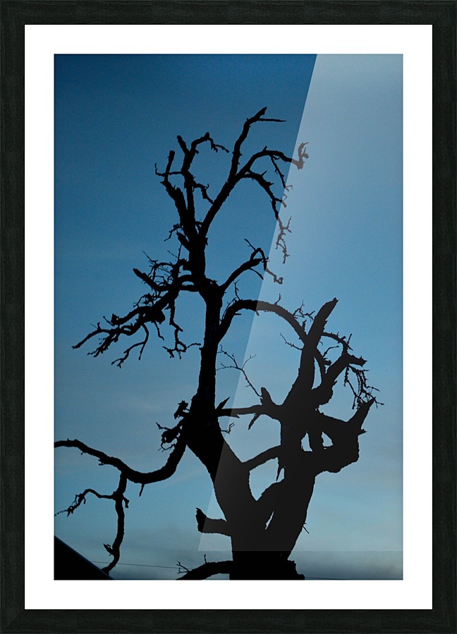 Haunted Tree Picture Frame print
