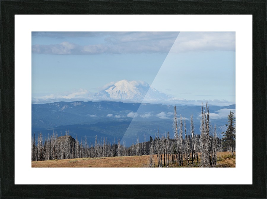Mountain Views Picture Frame print
