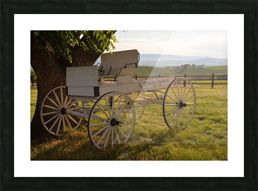 Summer Field Picture Frame print