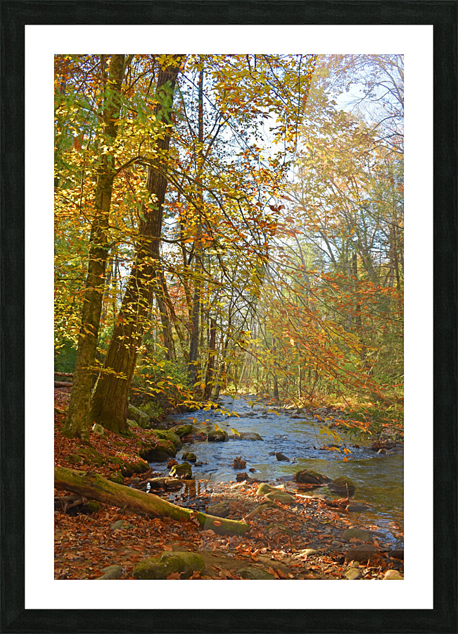 Fall Colors Over Babbling Brook Picture Frame print
