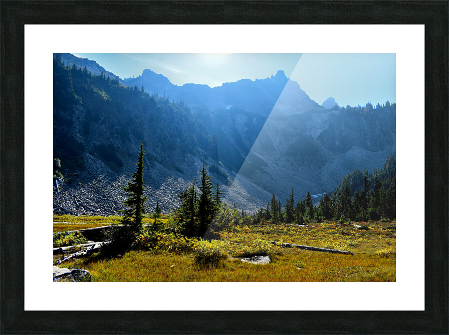 Sun Filled Mountain Meadow Picture Frame print
