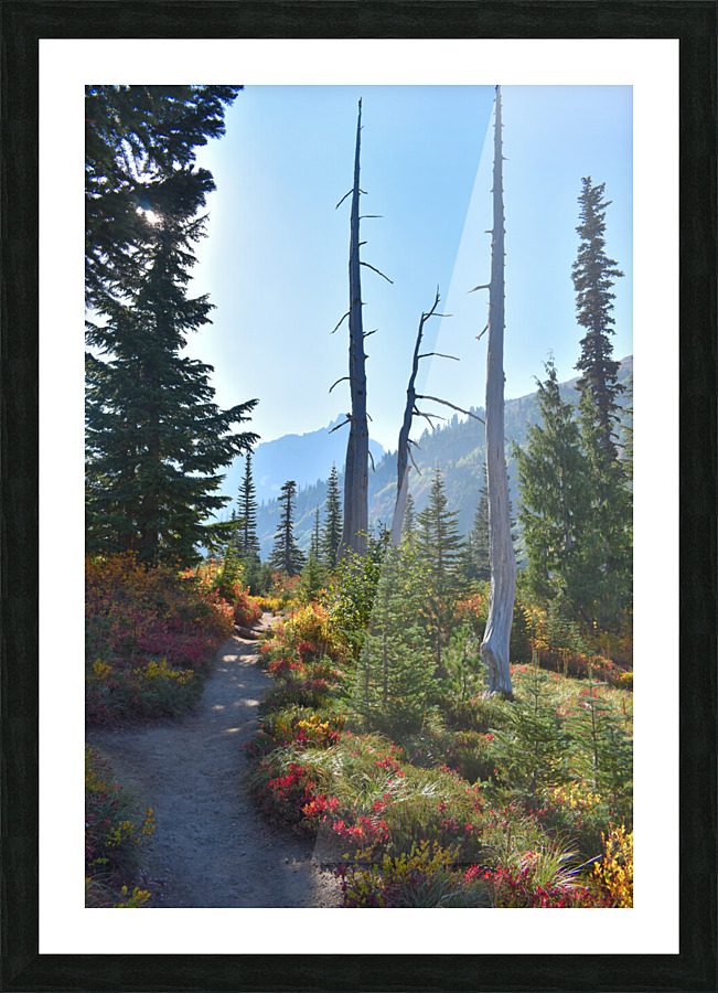 The Mountains are Calling Picture Frame print