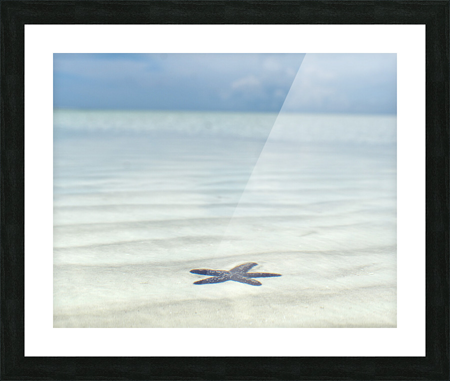 Watery Starfish Picture Frame print