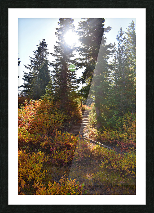 Sunlit Mountain Path Picture Frame print