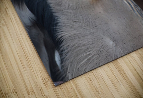 Beady Eyed Heron MDruba puzzle