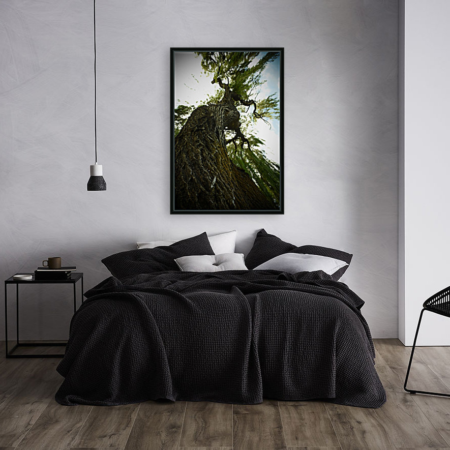 Twisting Tree Reproduction