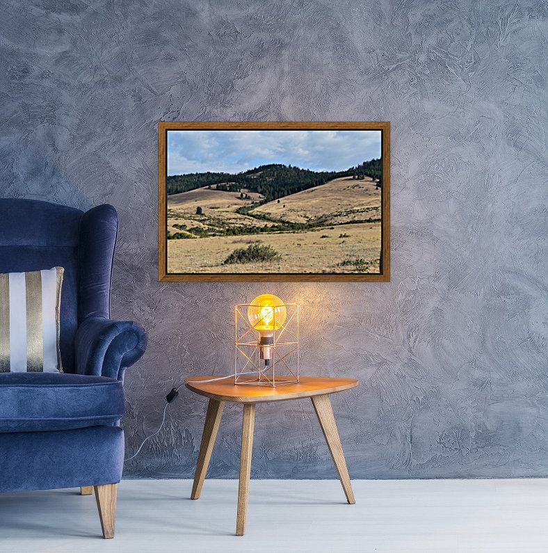 Western Valley Reproduction