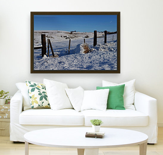 Frozen Fences Reproduction