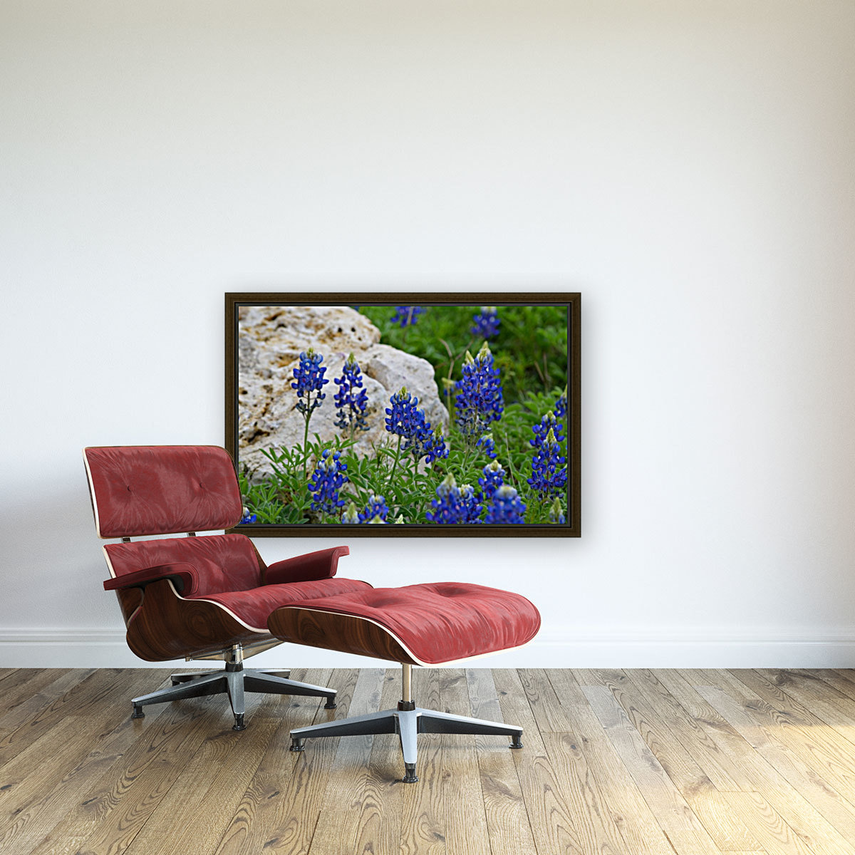 Texas Bluebonnets Reproduction