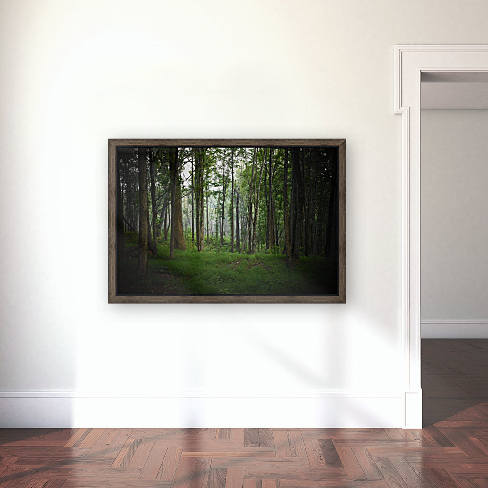 Into the Woods Reproduction