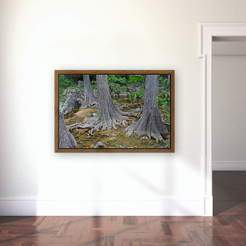 Connecting Roots Reproduction
