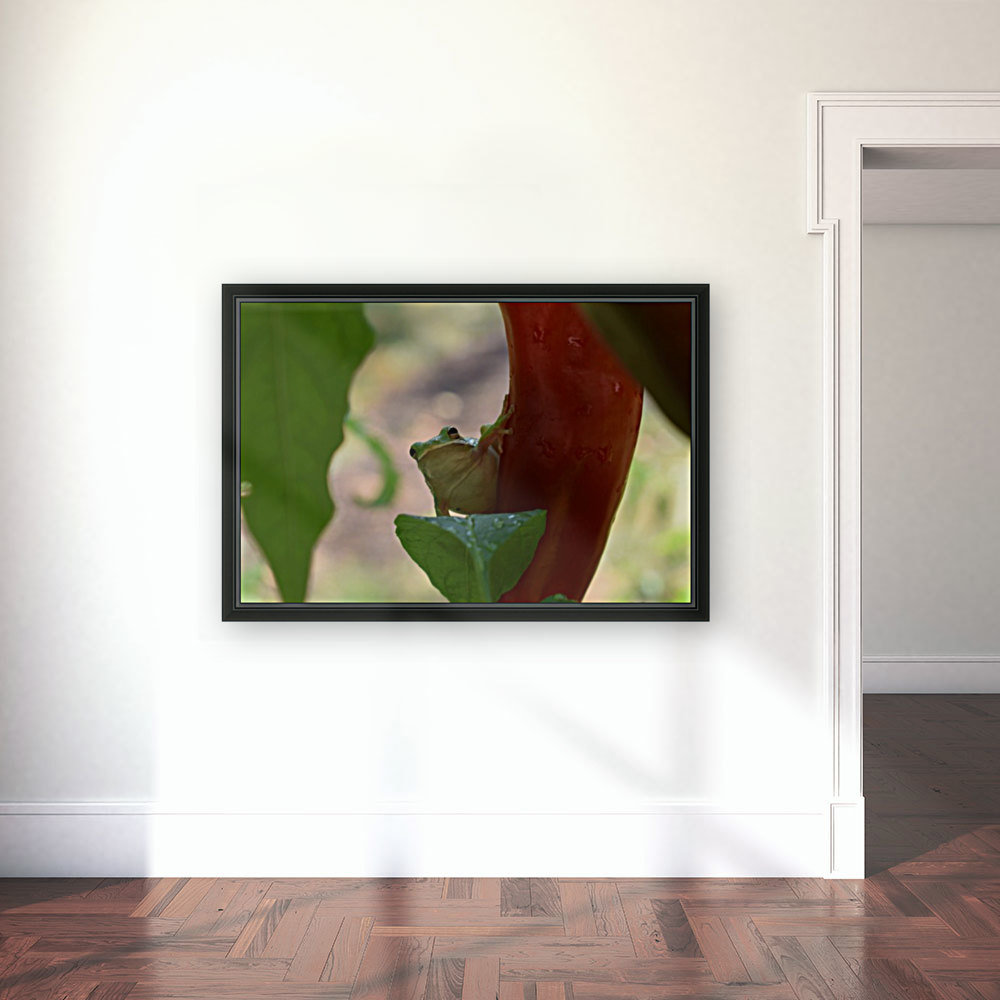 Peeping Frog Reproduction