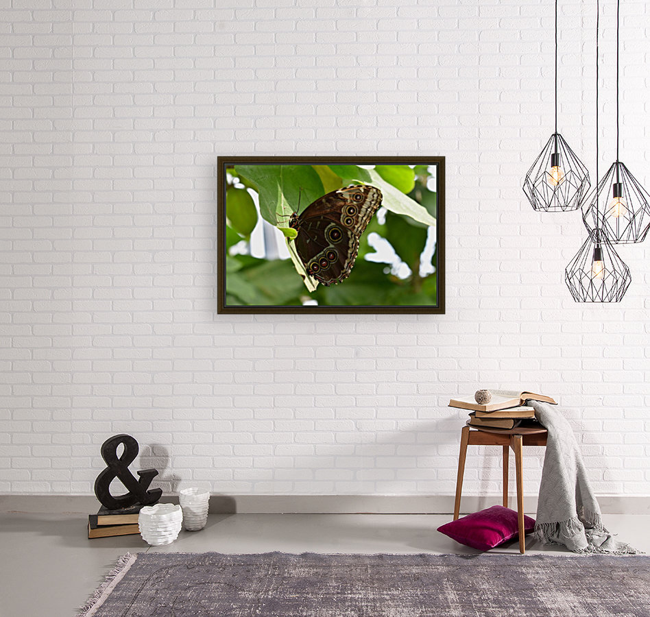 Butterfly Wings Reproduction