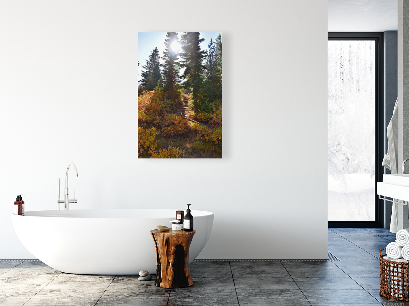Sunlit Mountain Path Reproduction