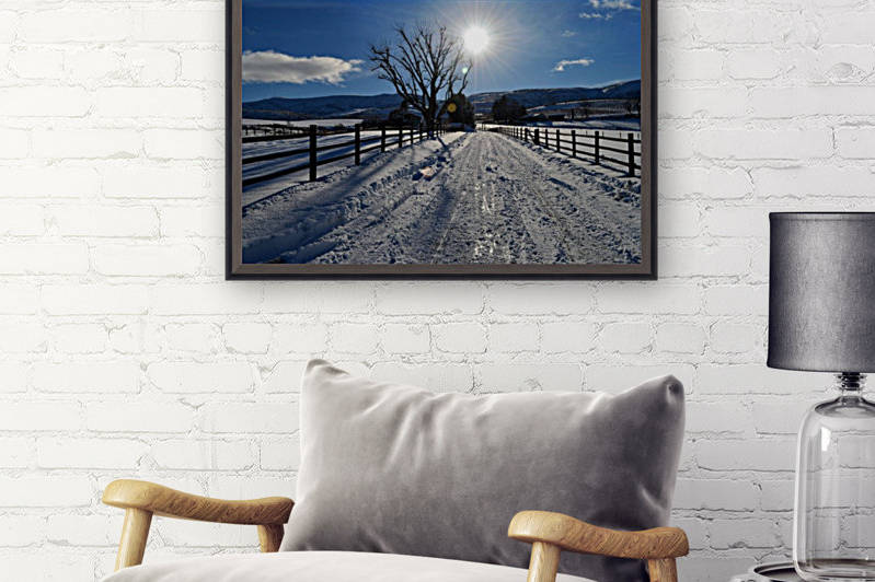 Frozen Homestead Reproduction