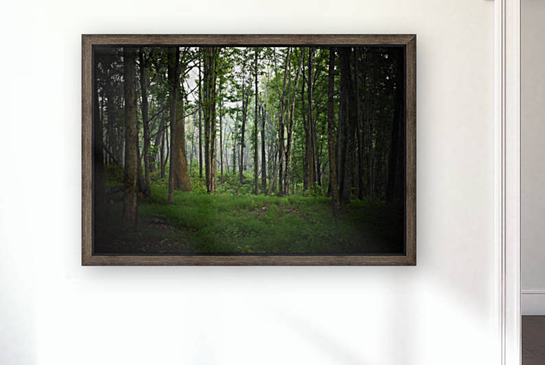 Into the Woods Reproduction