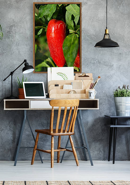 Red Chili Pepper Reproduction
