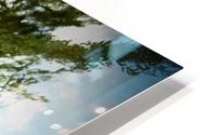 Twisting Tree HD Metal print