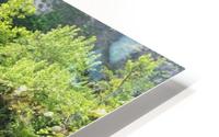 Hidden Oasis HD Metal print