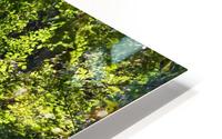 Hidden Waterfall HD Metal print