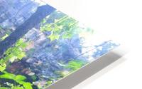 Hidden Waters HD Metal print