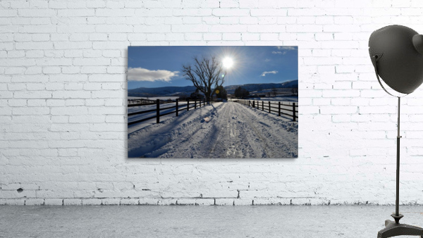 Frozen Homestead Wall Preview