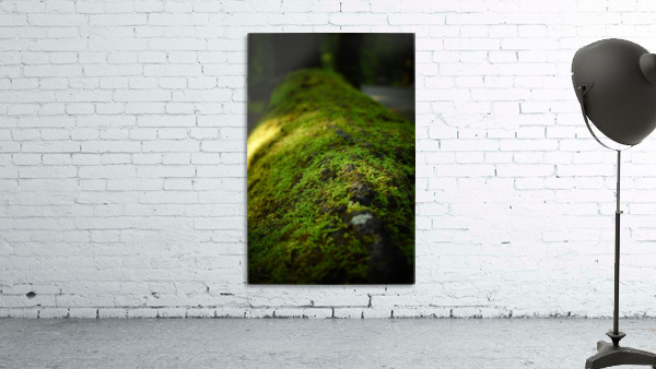 Mossy Log Wall Preview