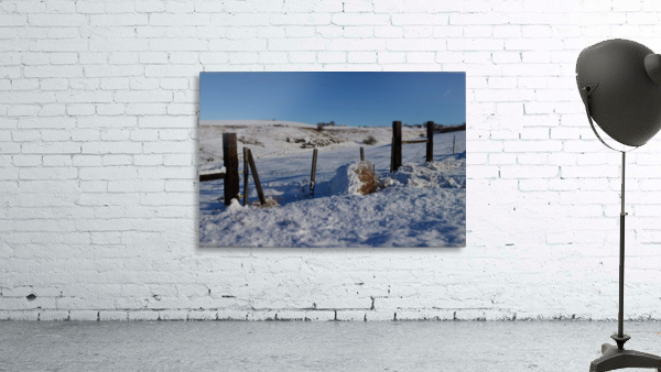 Frozen Fences Wall Preview