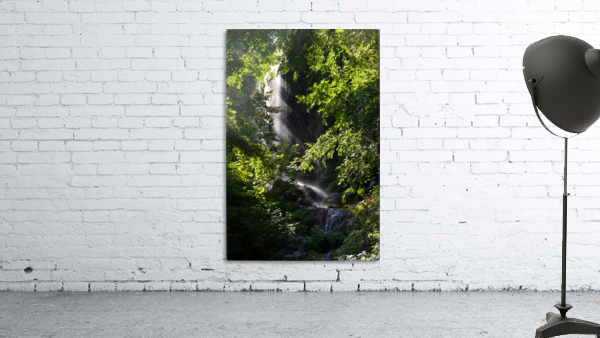 Hidden Waterfall Wall Preview