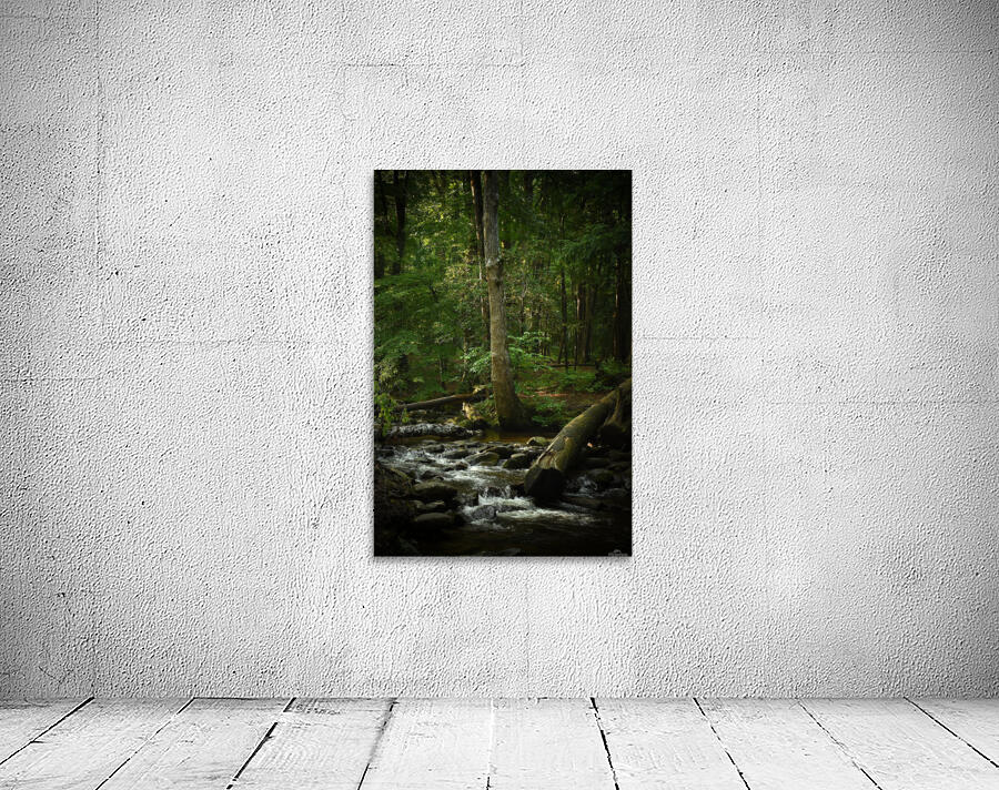 Deep Roots Wall Preview