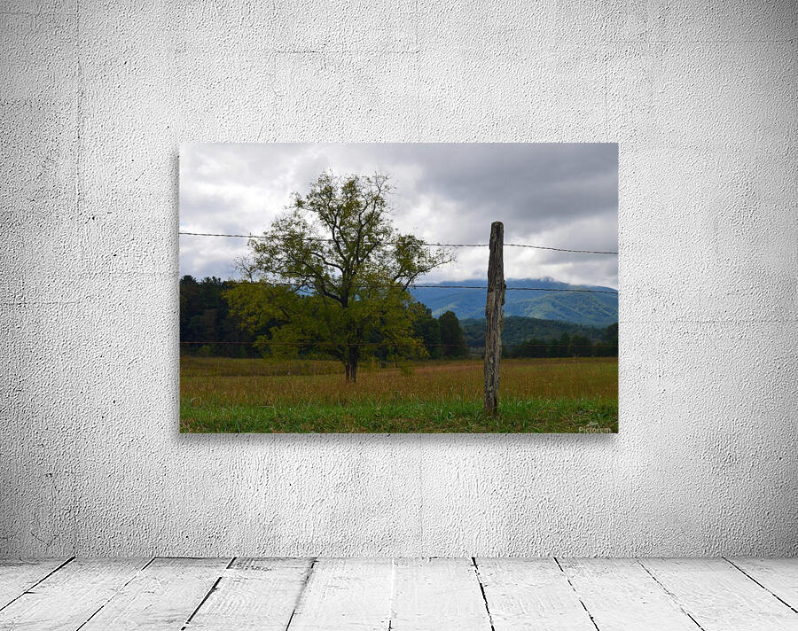 Open Range Wall Preview