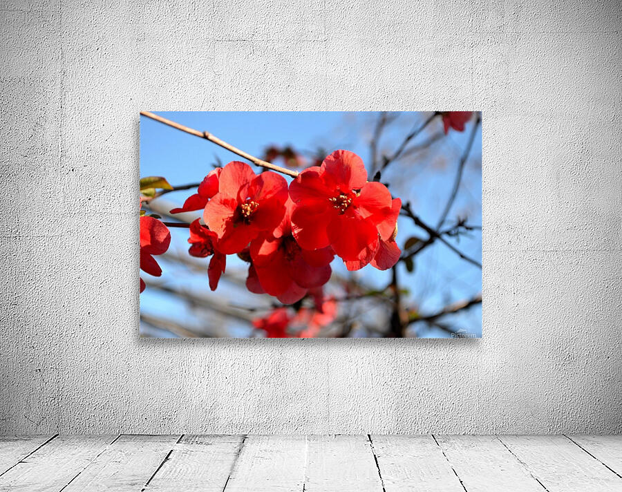 Blooming Trees Wall Preview