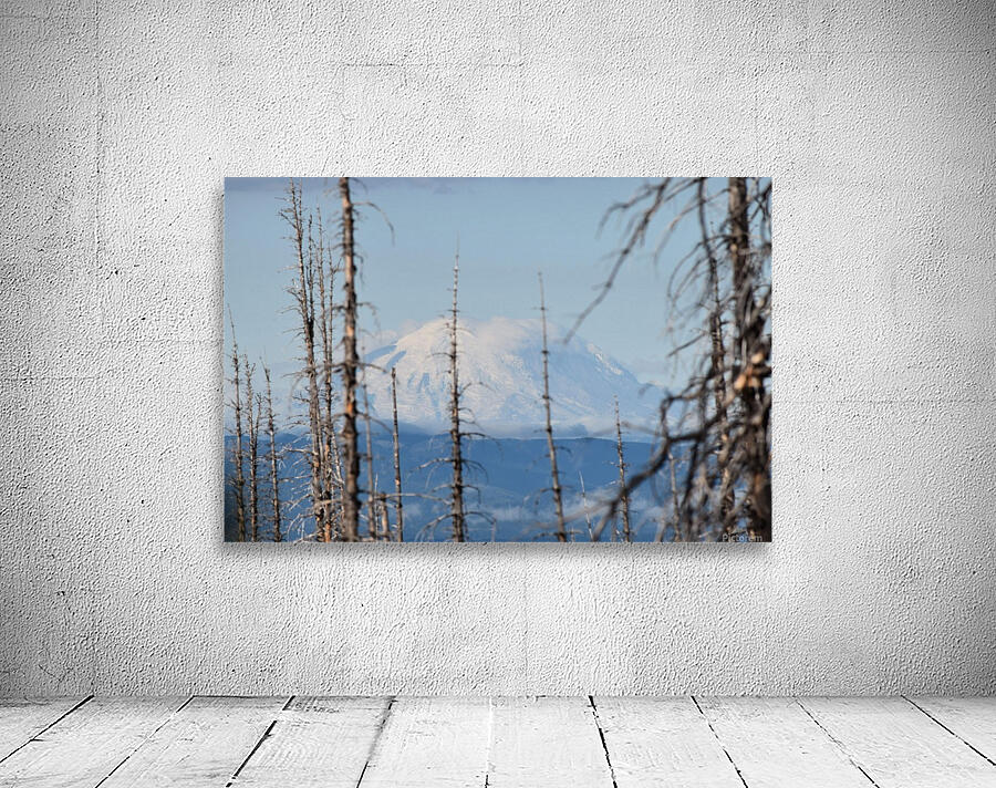 Mountain through the Forest Wall Preview