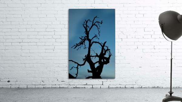 Haunted Tree Wall Preview