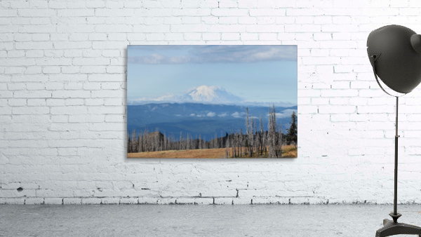 Mountain Views Wall Preview